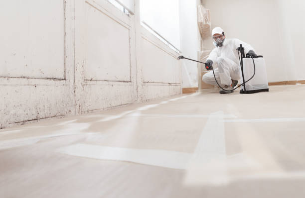 24/7 Emergency Mold Testing experts in Richland, MI