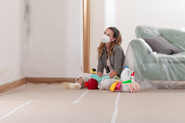 Reliable Mold Testing contractor in Richland, MI by WQB Mold Removal