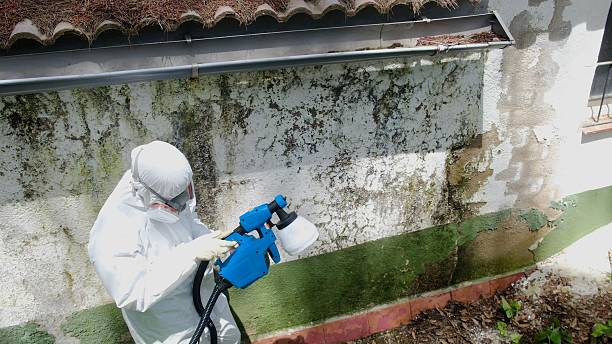 Top rated local Mold Testing specialists in Richland, MI
